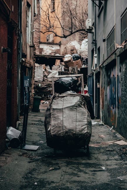 Mottingham rubbish removal SE9 guide for homeowners